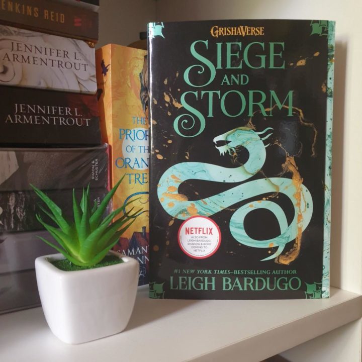 book siege and storm