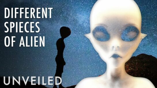 The Different Types Of Alien You Should Know About - Magic of Science