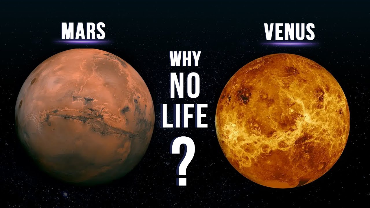Why Don’t Venus And Mars Have Life If They Are Both In The Habitable Zone?